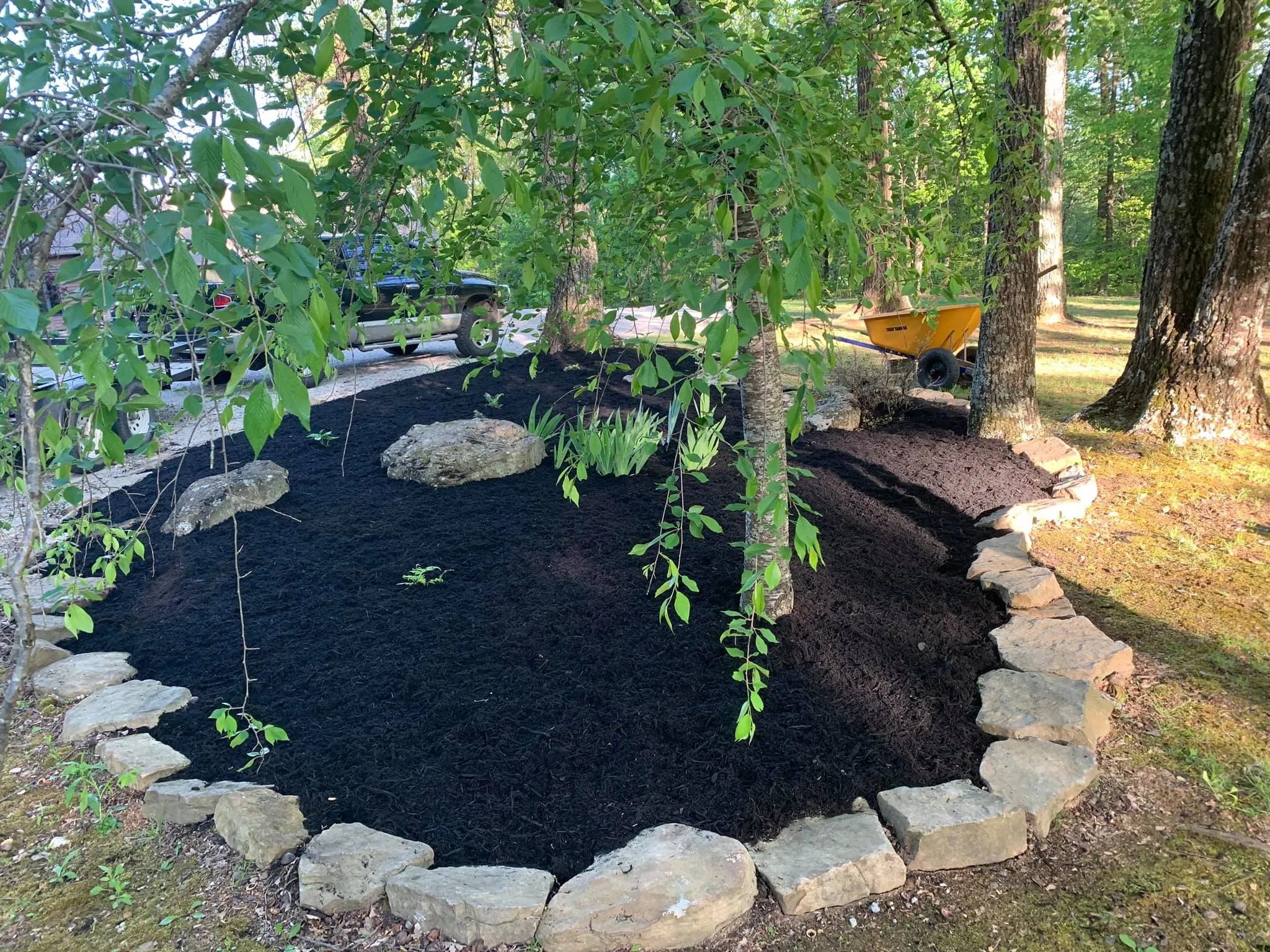 Photo number 13 of Fenix Lawn Care's best work performing a null job