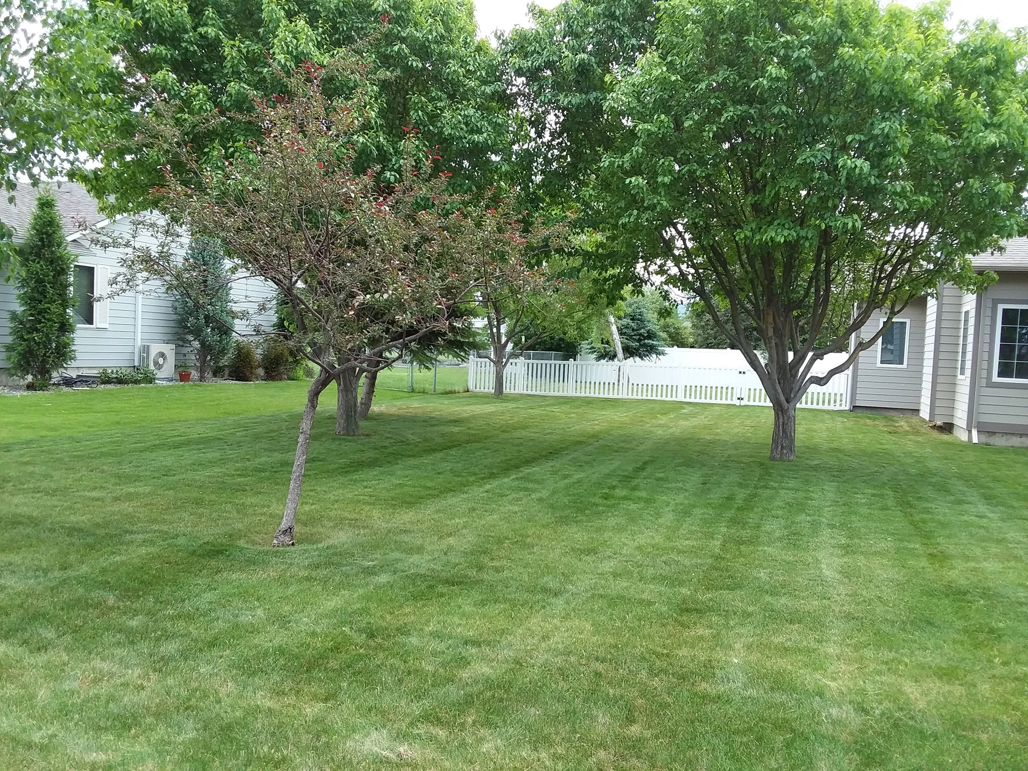 Photo number 12 of Yeti Snow and Lawn Services's best work performing a null job