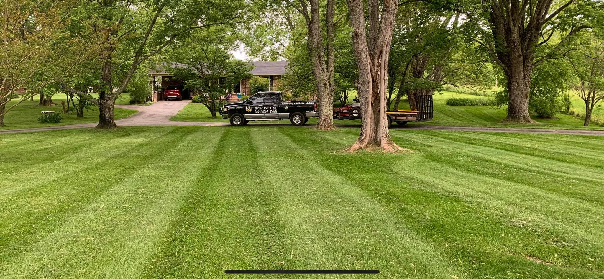 Photo number 23 of Fenix Lawn Care's best work performing a null job