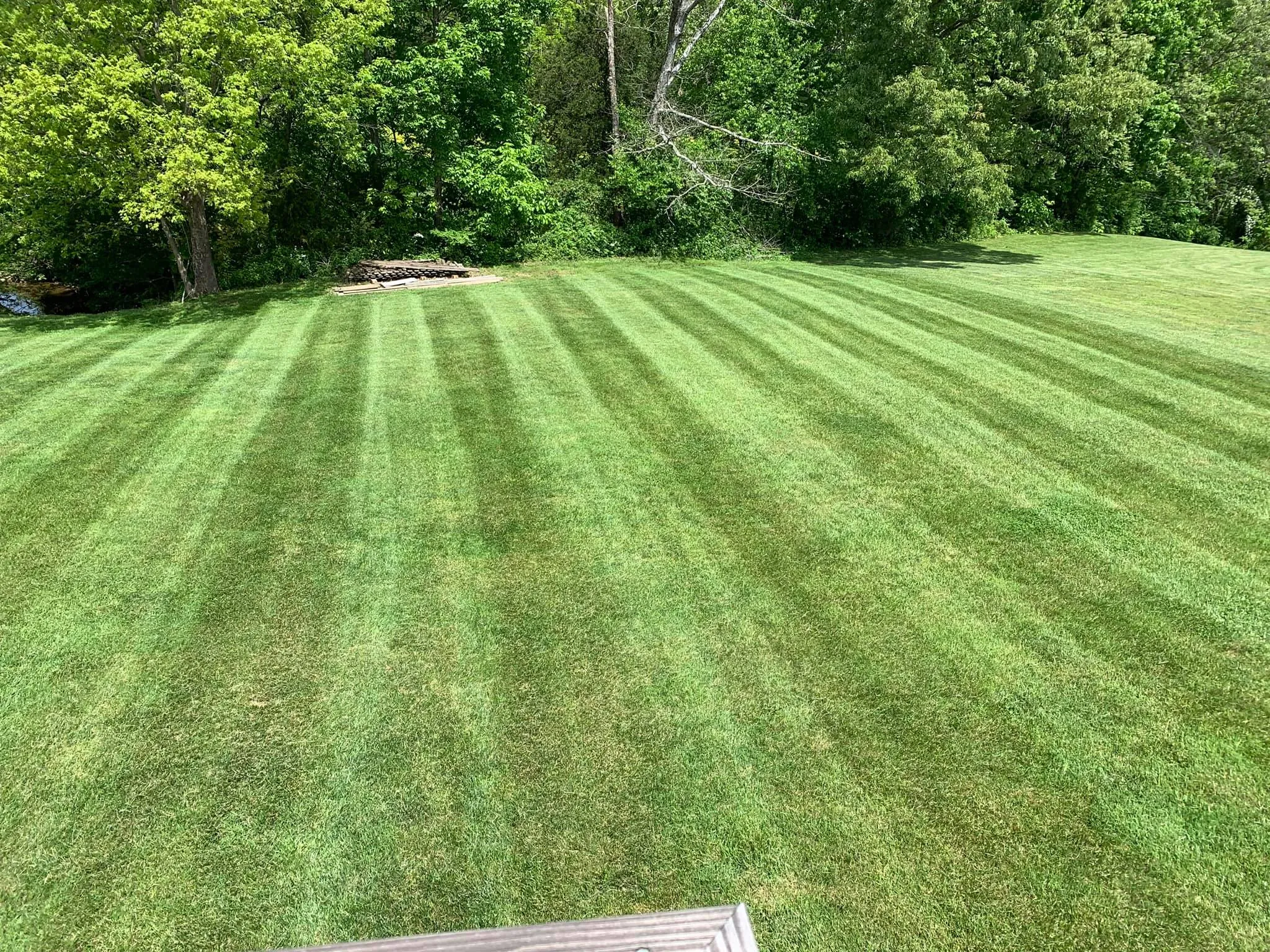 Photo number 15 of Fenix Lawn Care's best work performing a null job