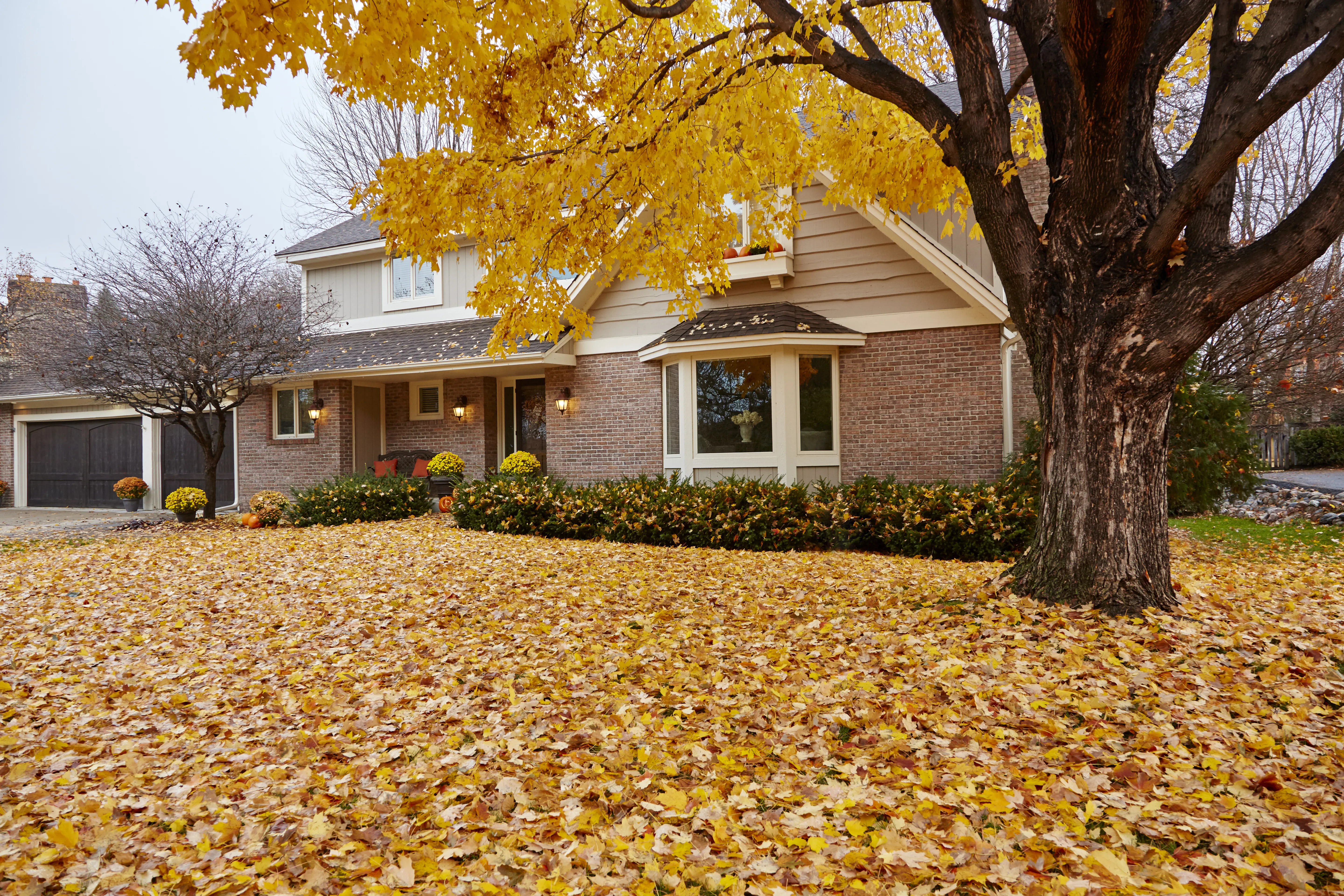 Our Fall and Spring Clean Up service is the perfect way to get your property ready for the changing seasons. We'll clear away any debris from your lawn and garden, and make sure your property is looking its best. for Ovidio's Landscaping in Westchester County, NY
