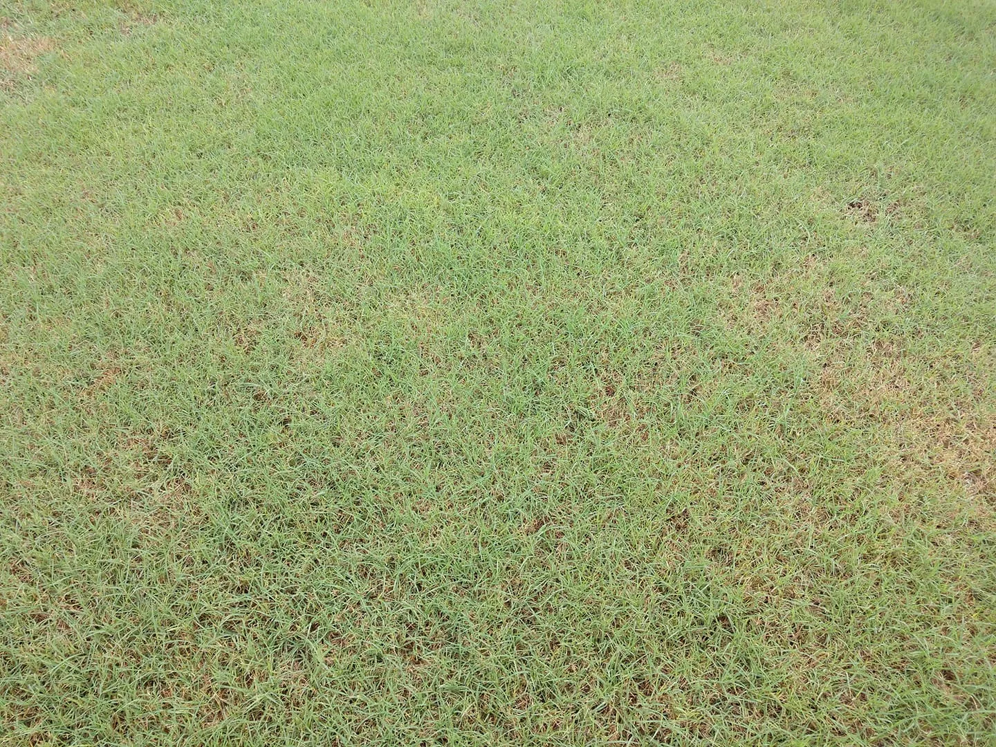 All Photos for RightLane Turf Management LLC in Wilson, NC