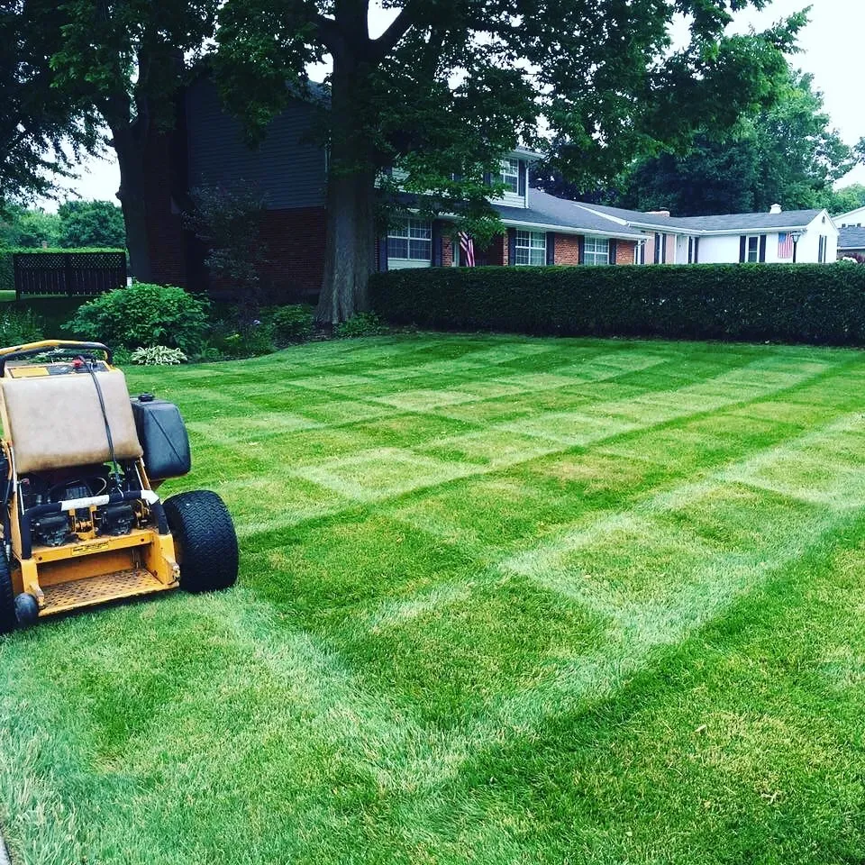 Our Sod Installation service is a quick and easy way to get a beautiful, green lawn. We will remove any old sod and soil, then install new sod and topsoil.  for Fields Exterior Maintenance Services, LLC in Atlanta, Georgia