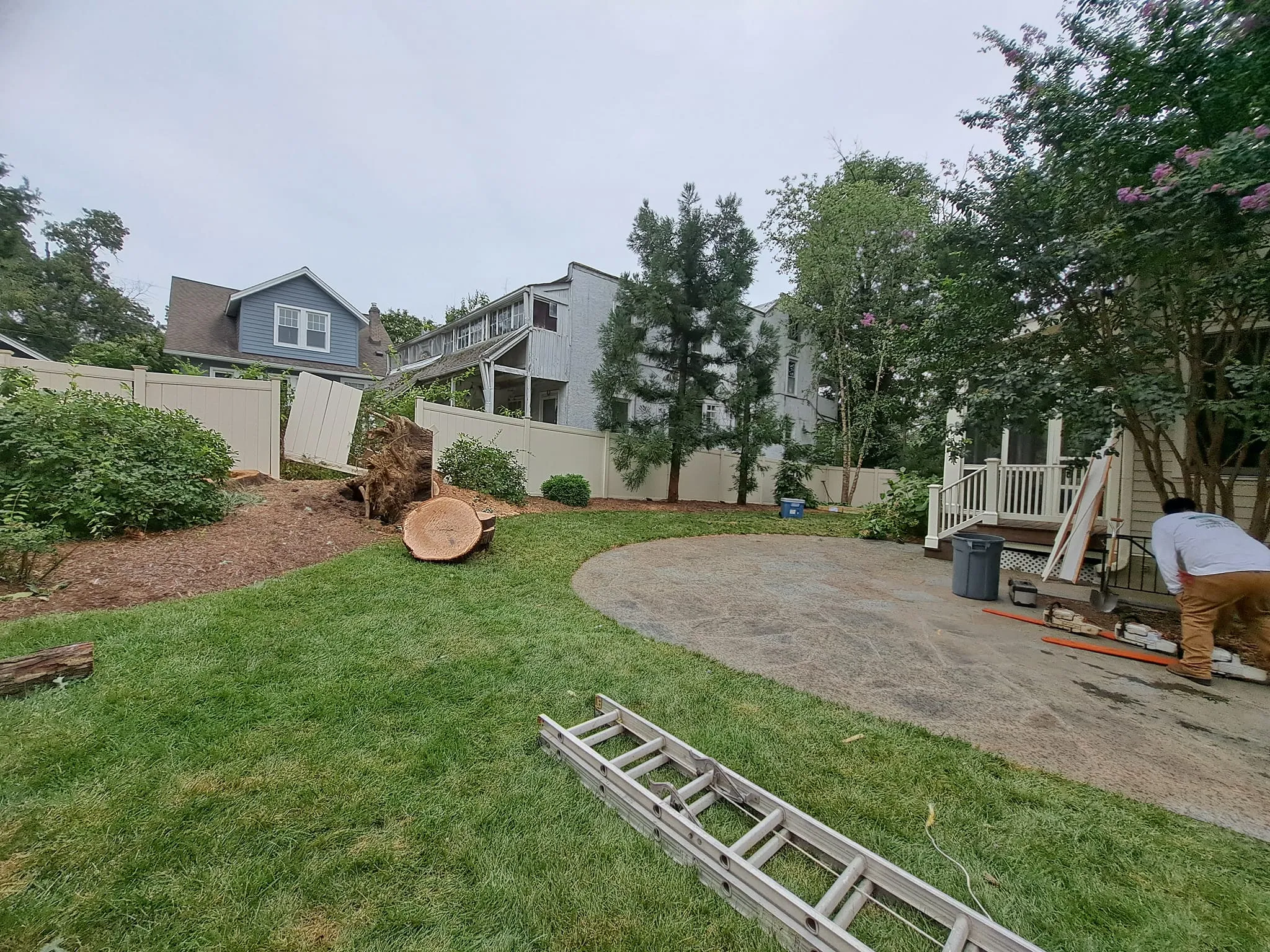 Tree Removal for Mario's Tree Service in Richmond, VA