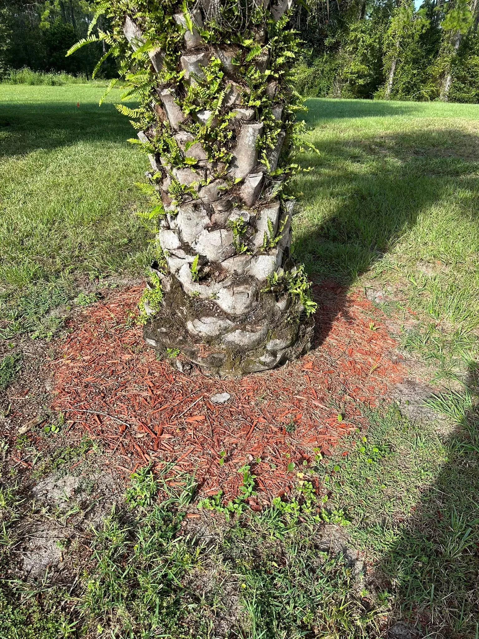 Fall and Spring Clean Up for Kramer & Son’s Property Maintenance in Hudson, FL