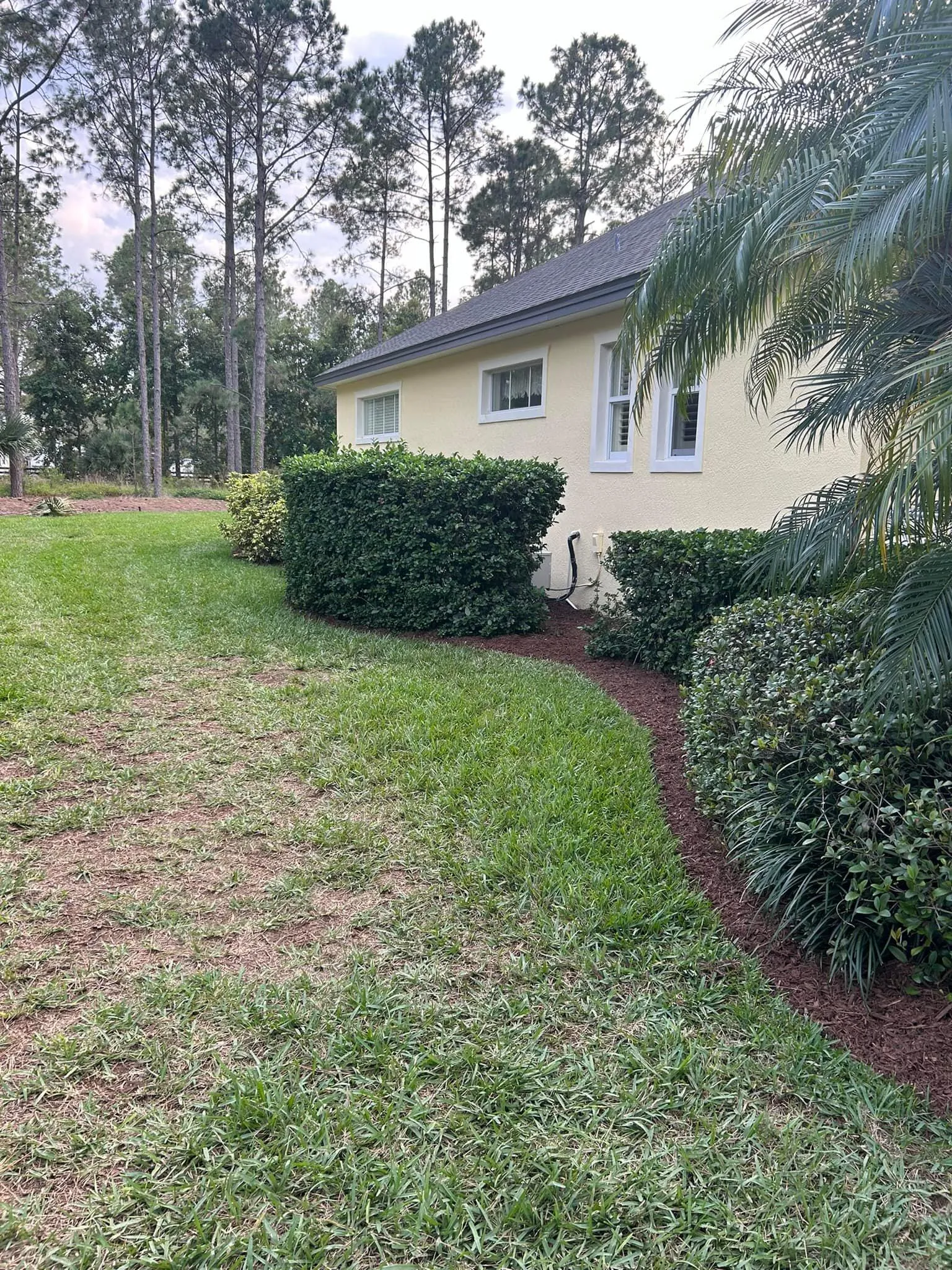 Fall and Spring Clean Up for Estrada All Pro Lawn Service in Auburndale, Florida