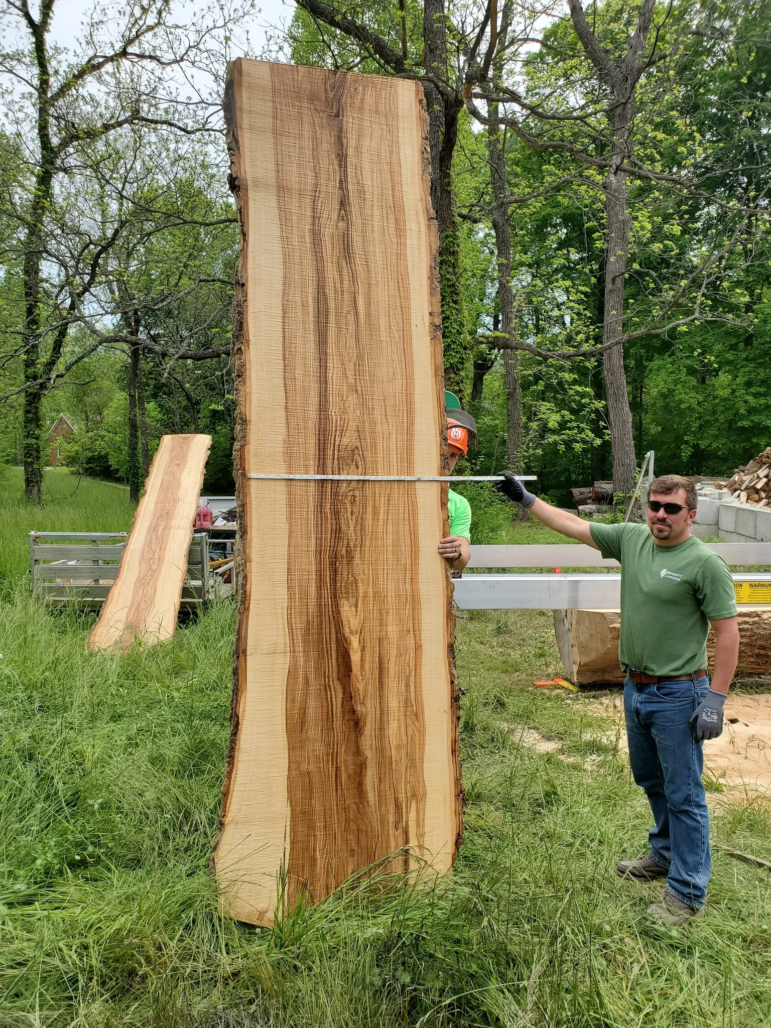 Logging for Bennett Logging in Gosport, Indiana