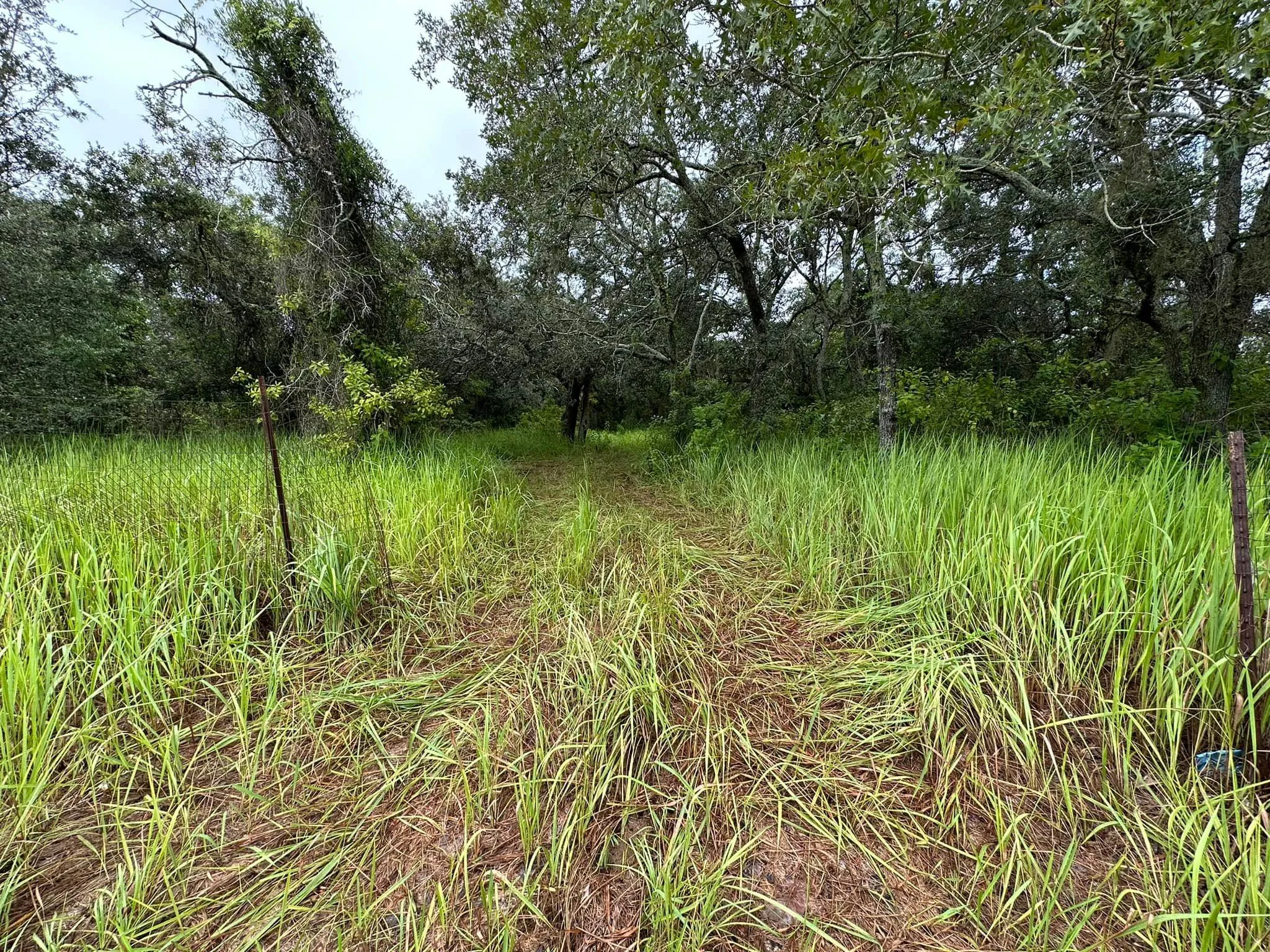 Fall and Spring Clean Up for Kramer & Son’s Property Maintenance in Hudson, FL