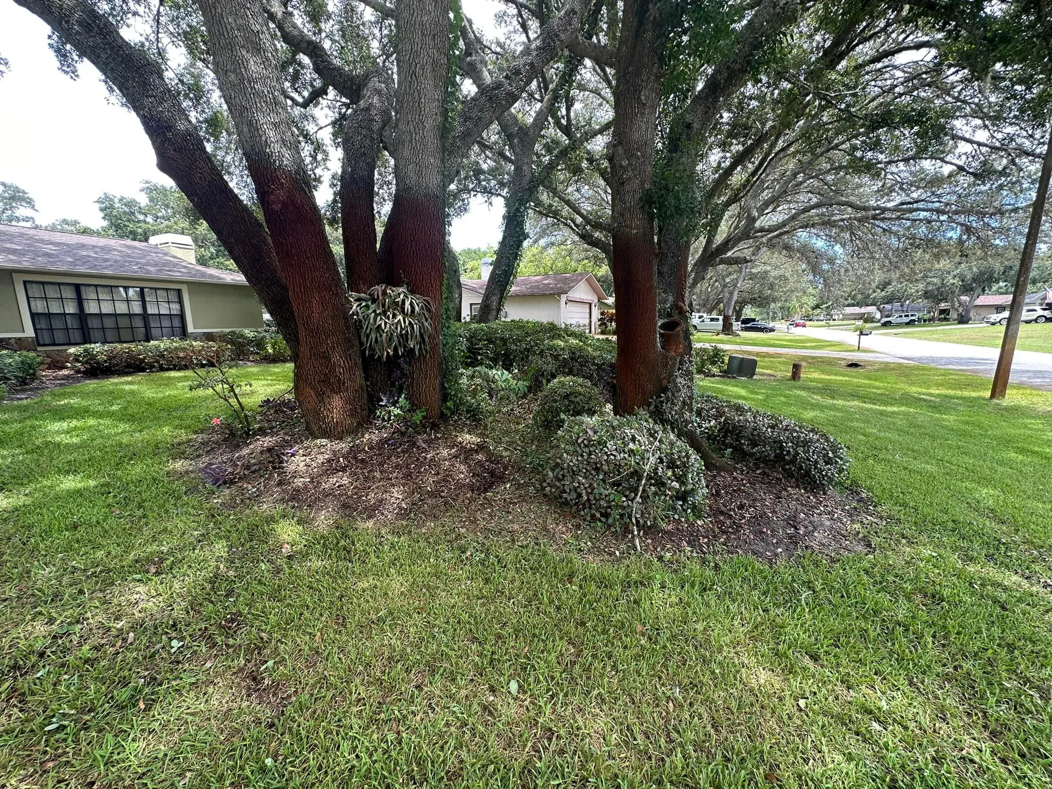 Fall and Spring Clean Up for Kramer & Son’s Property Maintenance in Hudson, FL