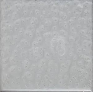 Bright White at Floorworx in Westchester County, NY