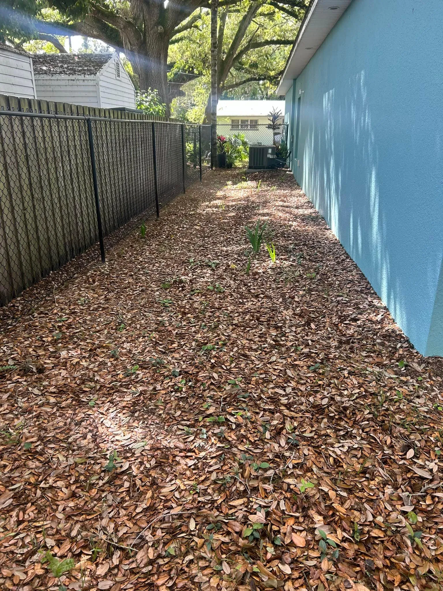 Fall and Spring Clean Up for Estrada All Pro Lawn Service in Auburndale, Florida