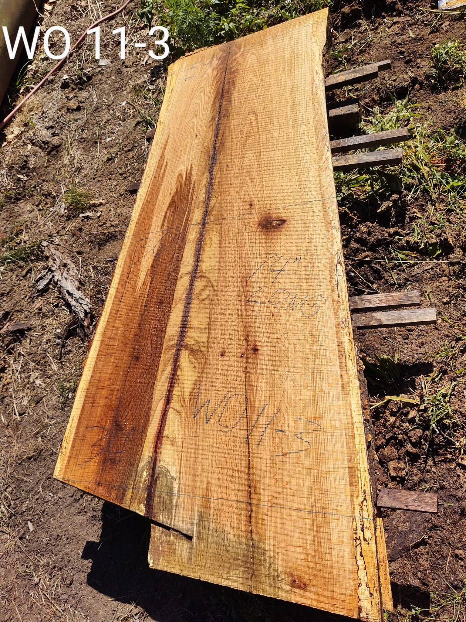 Logging for Bennett Logging in Gosport, Indiana