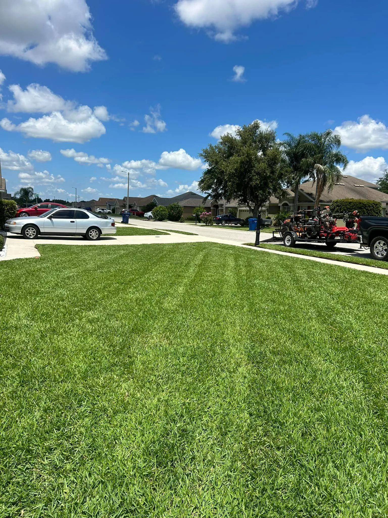 Fall and Spring Clean Up for Estrada All Pro Lawn Service in Auburndale, Florida