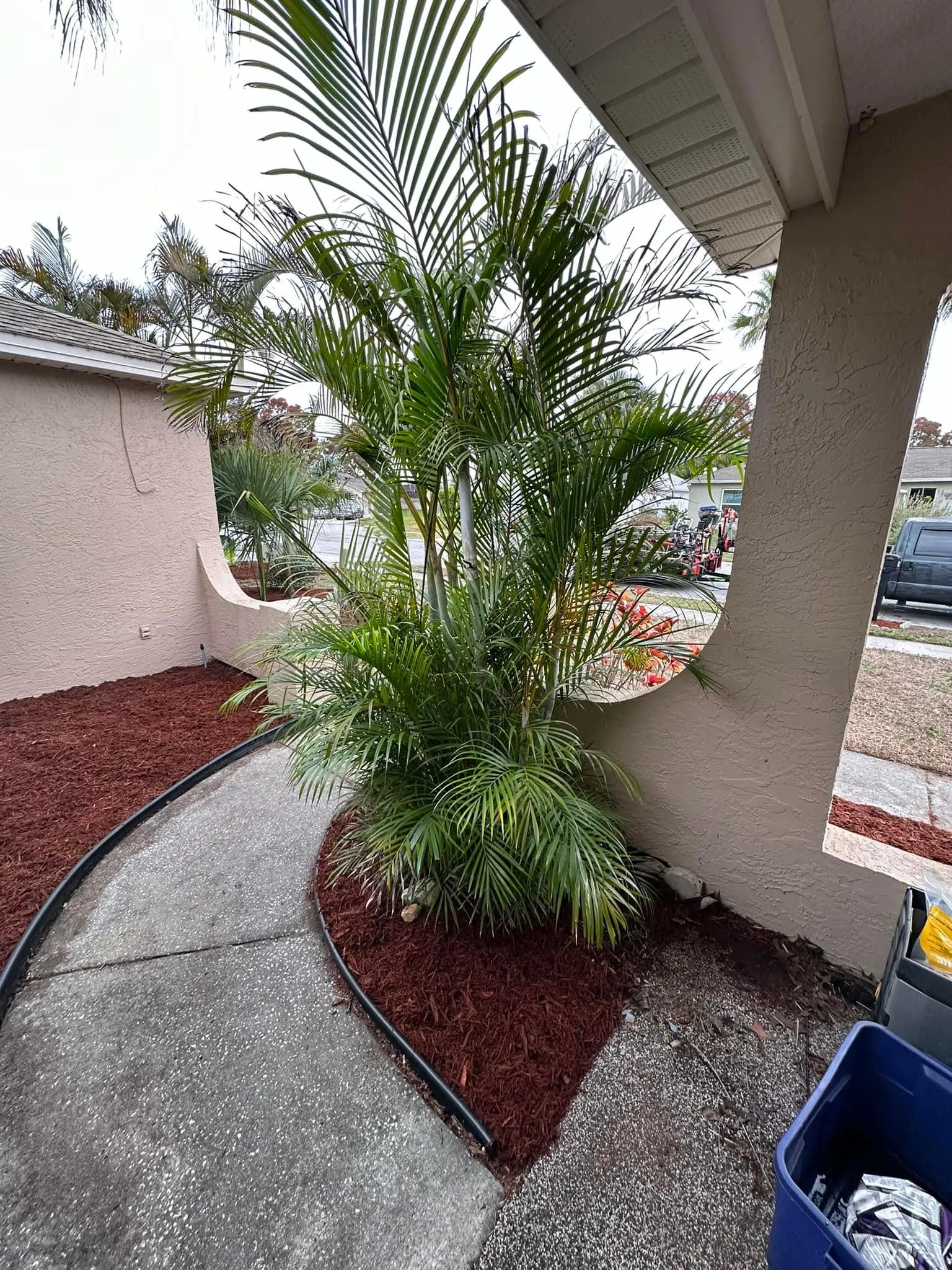 Fall and Spring Clean Up for Kramer & Son’s Property Maintenance in Hudson, FL