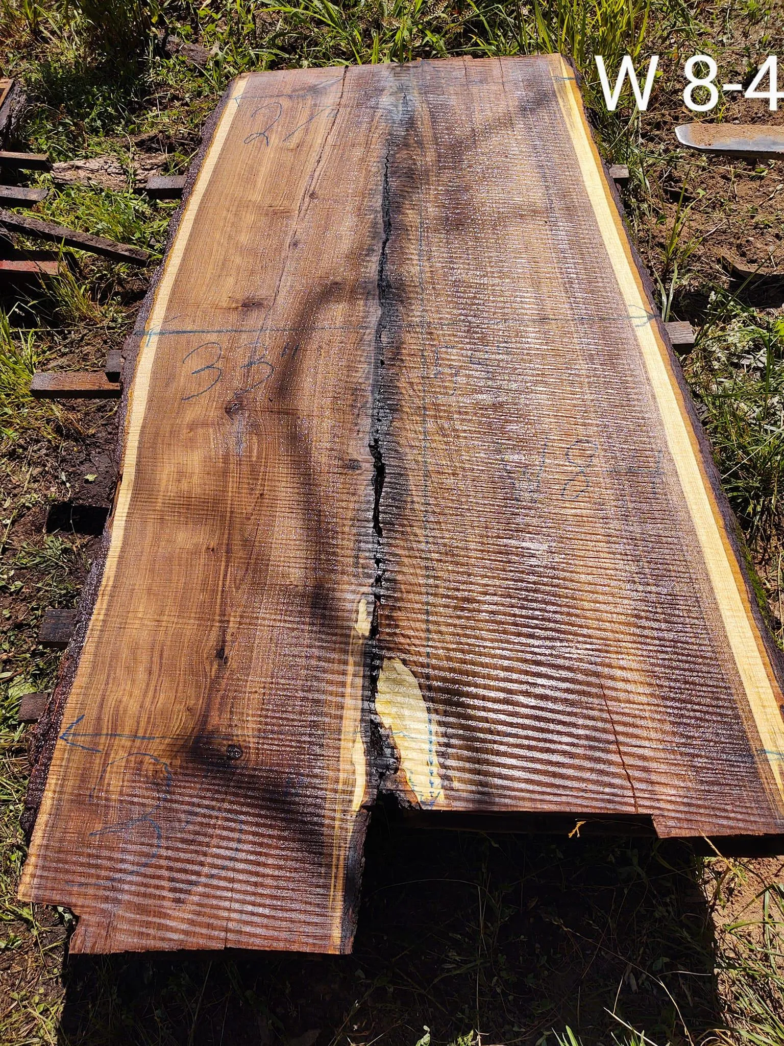 Logging for Bennett Logging in Gosport, Indiana