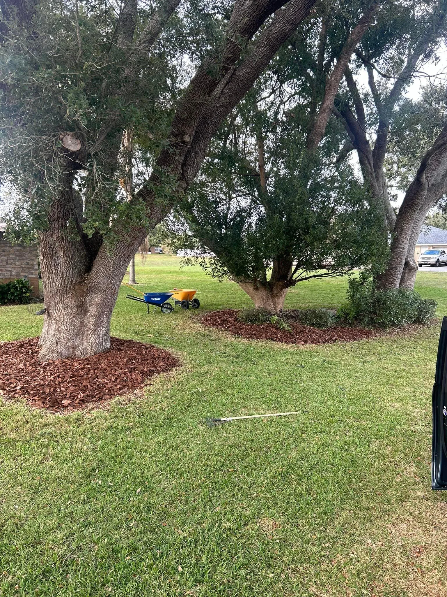 Fall and Spring Clean Up for Estrada All Pro Lawn Service in Auburndale, Florida