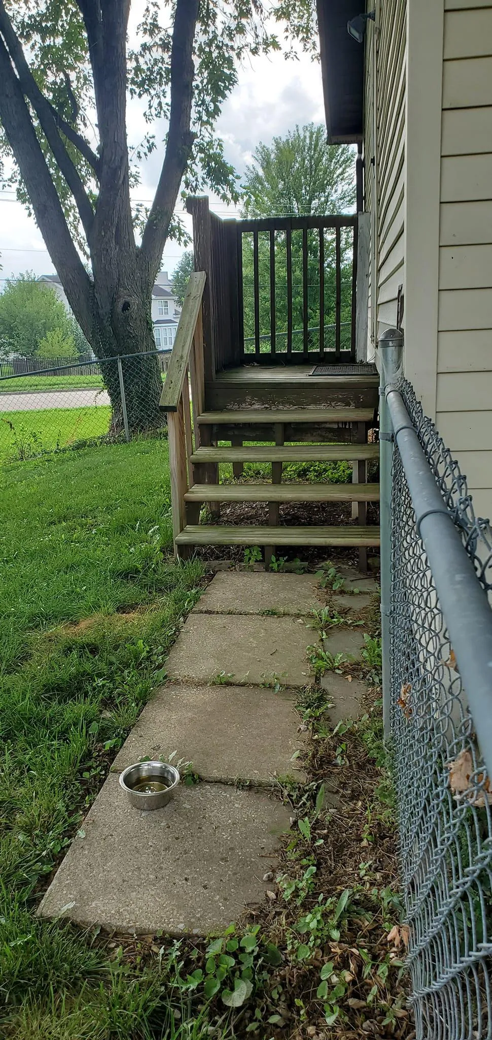 Deck & Patio Installation for Dead Tree General Contracting in Carbondale, Illinois