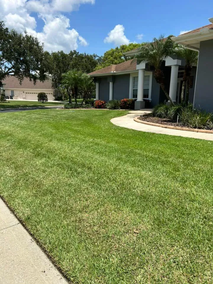 Fall and Spring Clean Up for Estrada All Pro Lawn Service in Auburndale, Florida