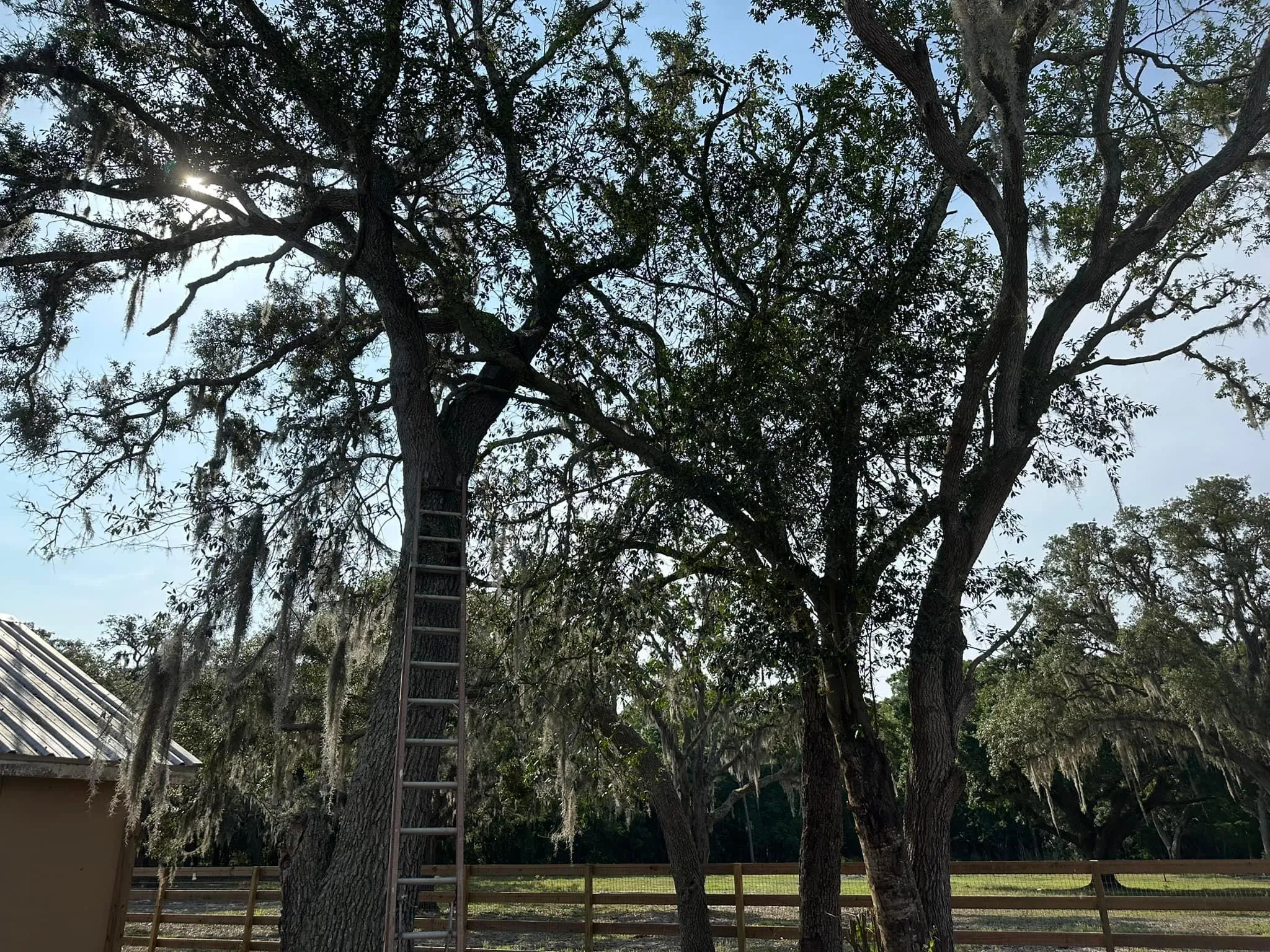 Fall and Spring Clean Up for Kramer & Son’s Property Maintenance in Hudson, FL