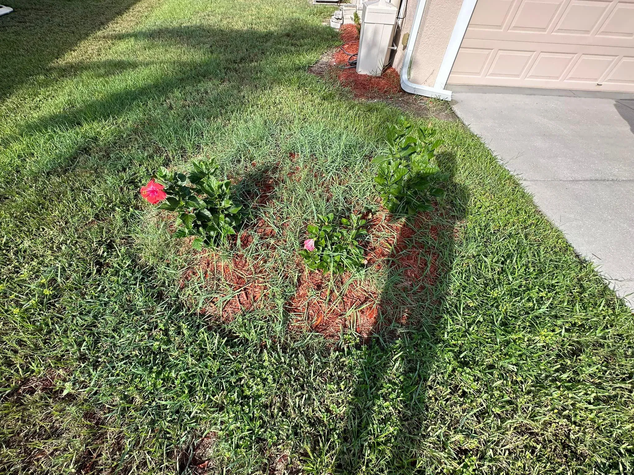 Fall and Spring Clean Up for Kramer & Son’s Property Maintenance in Hudson, FL