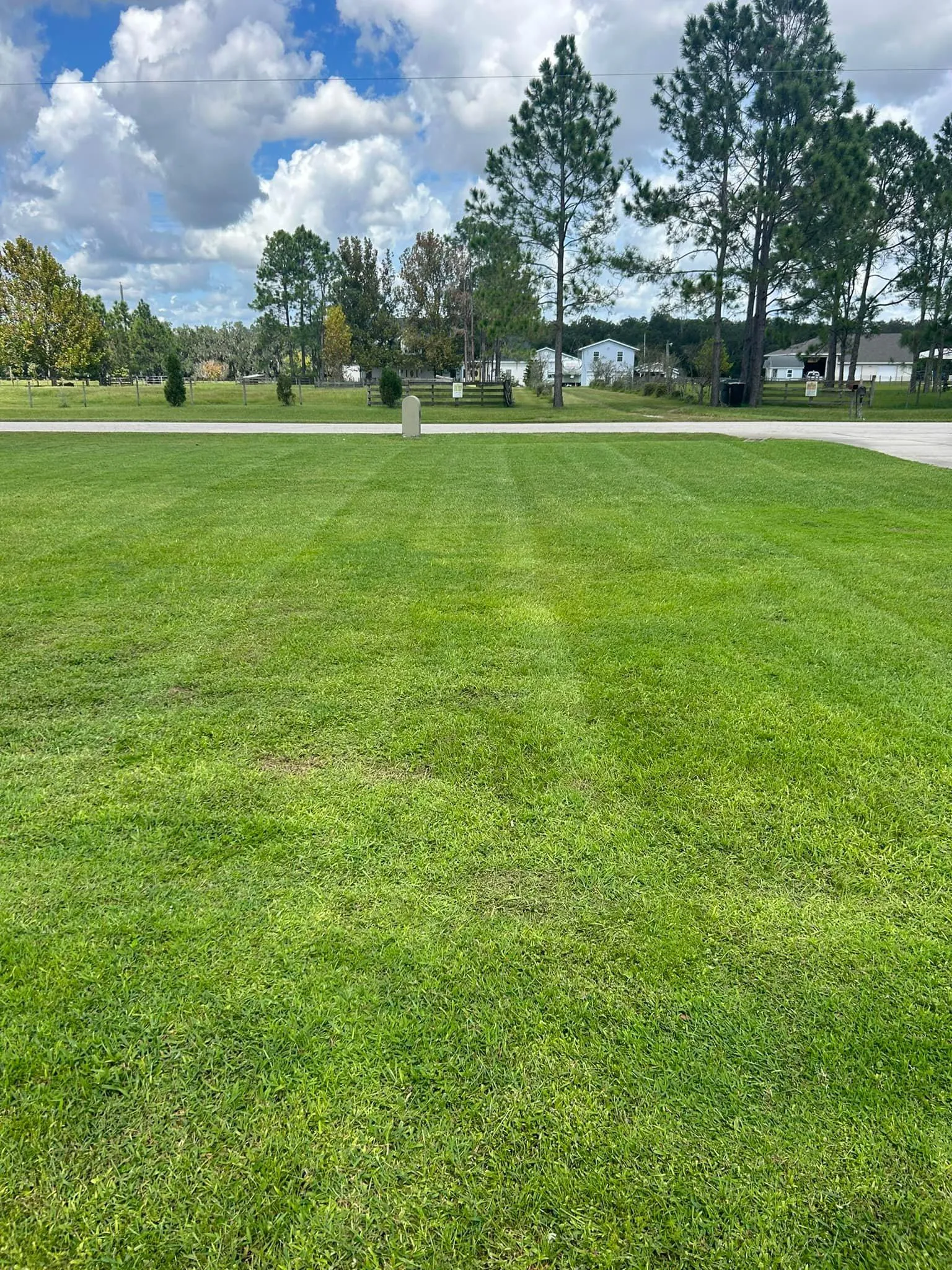 Fall and Spring Clean Up for Estrada All Pro Lawn Service in Auburndale, Florida