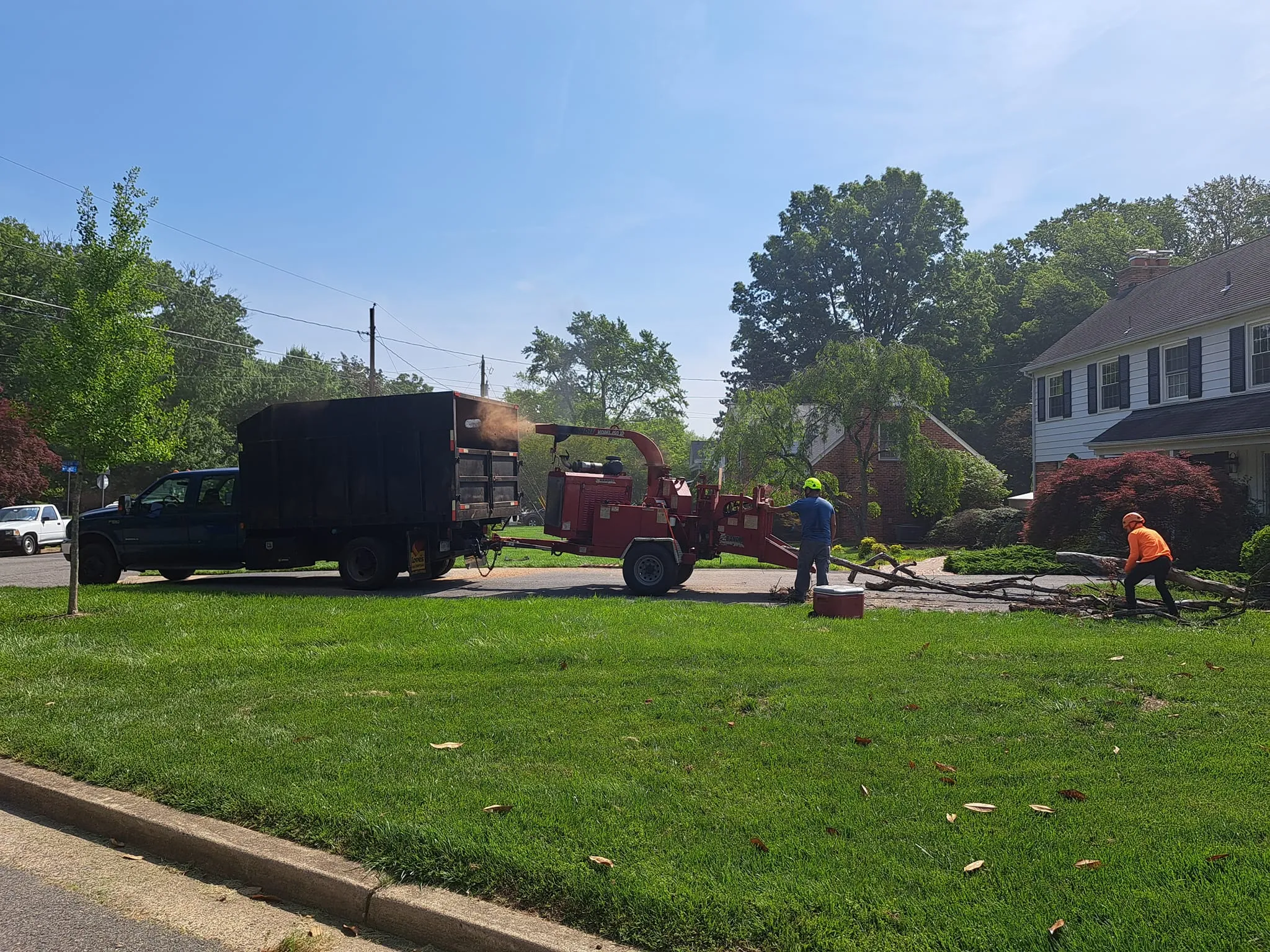 Tree Removal for Mario's Tree Service in Richmond, VA