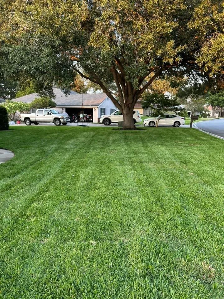 Fall and Spring Clean Up for Estrada All Pro Lawn Service in Auburndale, Florida