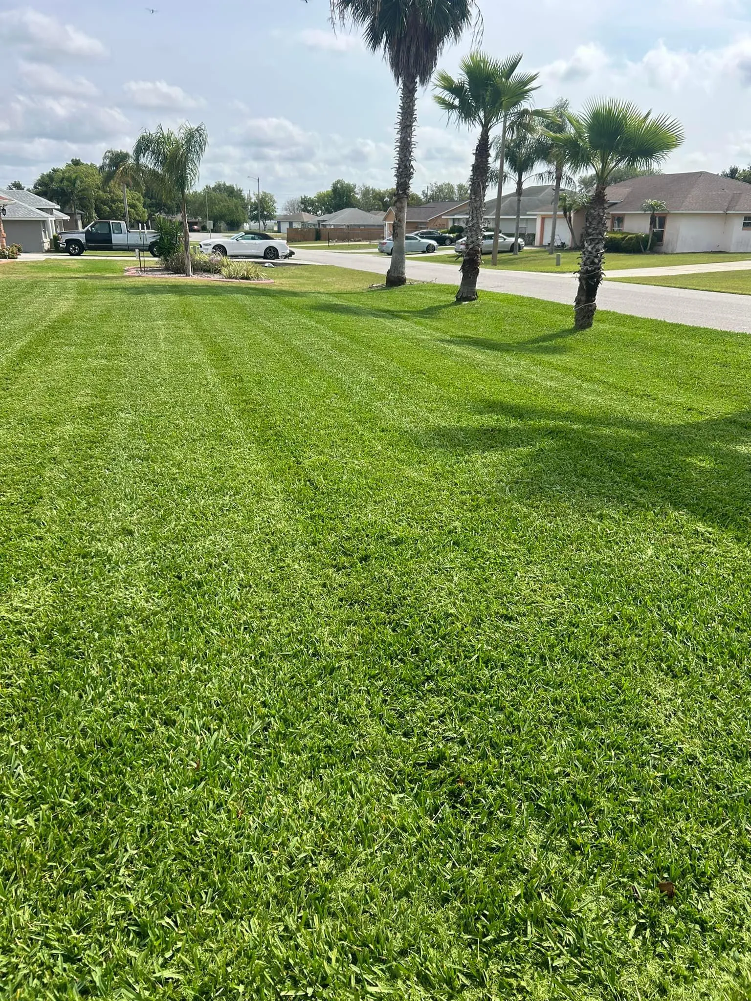 Fall and Spring Clean Up for Estrada All Pro Lawn Service in Auburndale, Florida