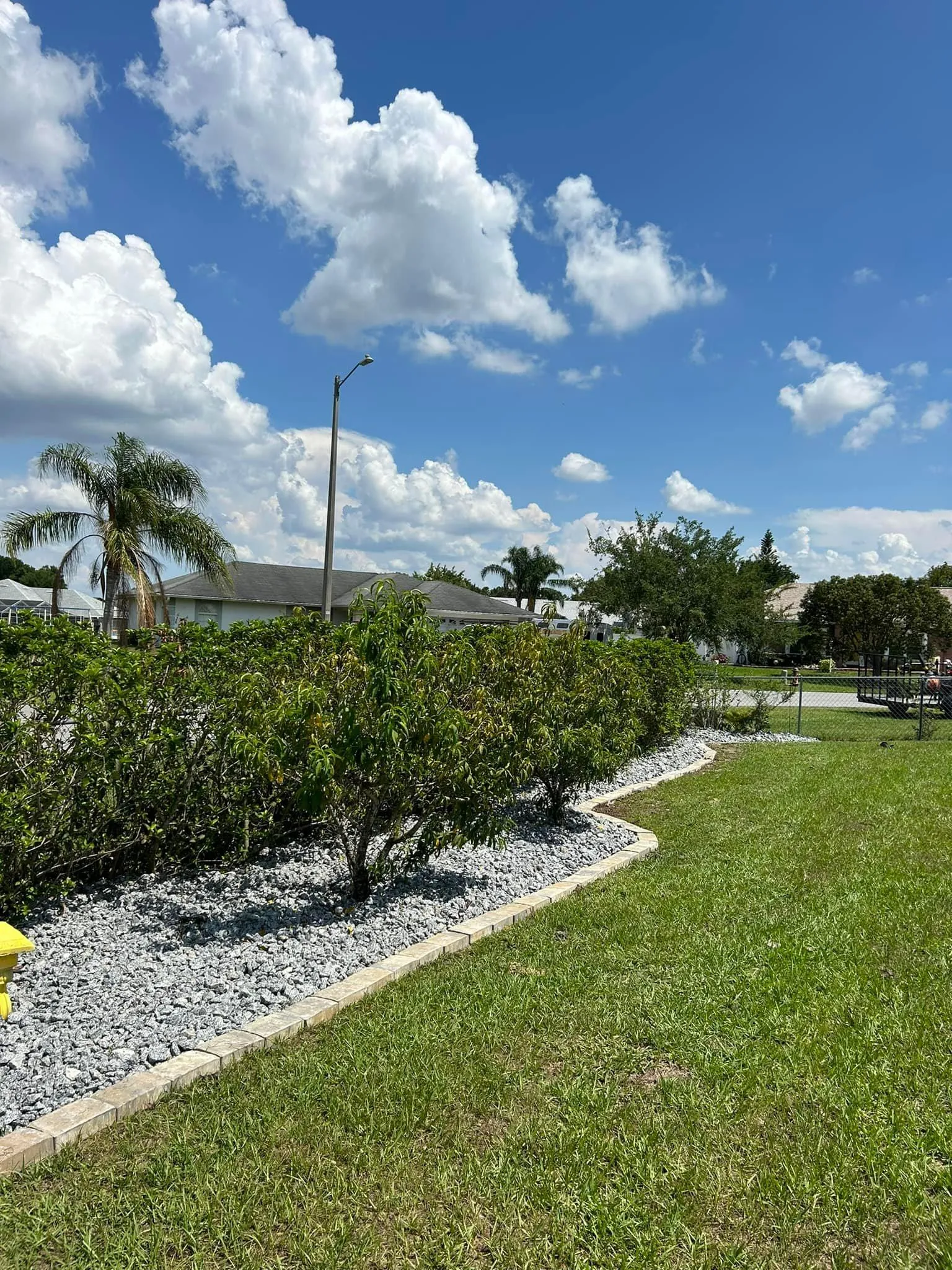 Fall and Spring Clean Up for Estrada All Pro Lawn Service in Auburndale, Florida