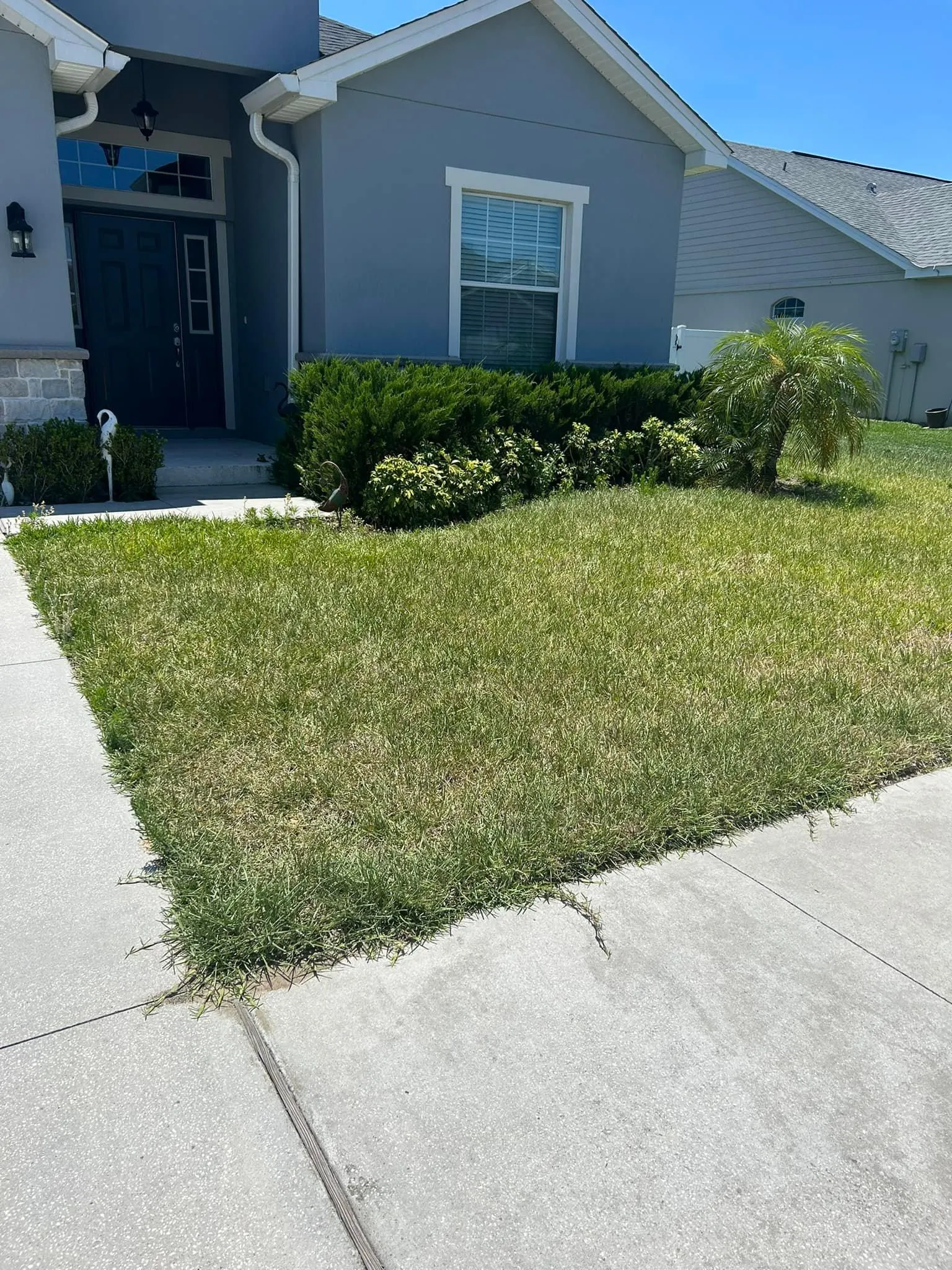 Fall and Spring Clean Up for Estrada All Pro Lawn Service in Auburndale, Florida