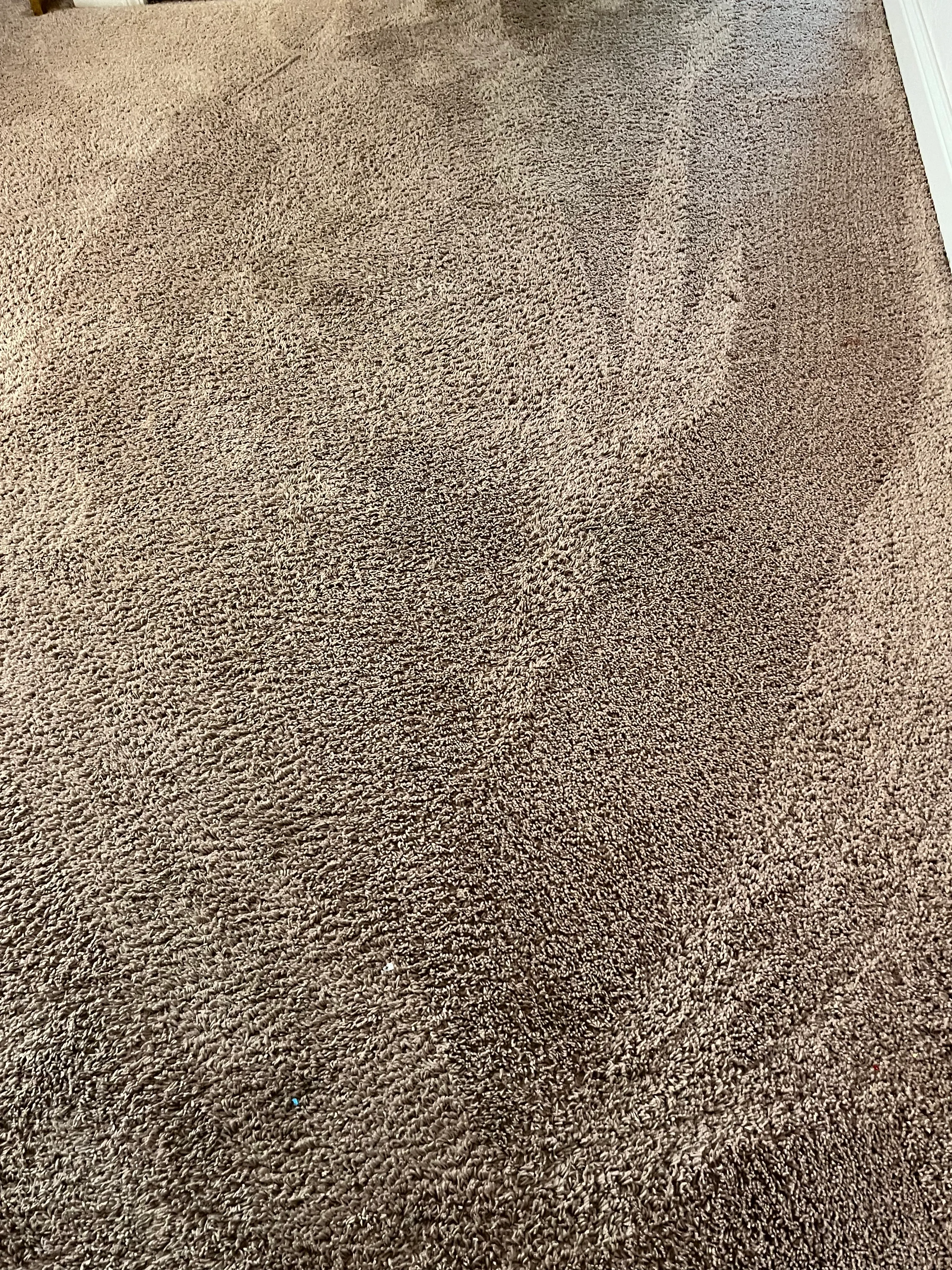 Carpet Cleaning for Randy’s Janitorial in Vallejo, CA