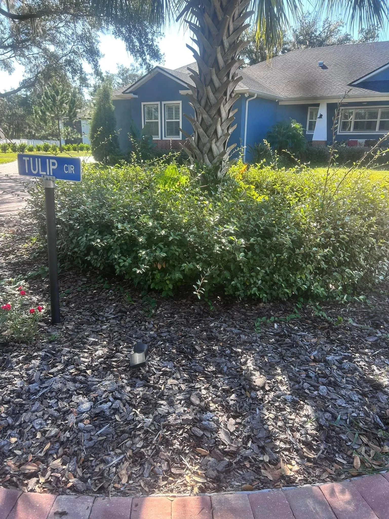 Fall and Spring Clean Up for Estrada All Pro Lawn Service in Auburndale, Florida