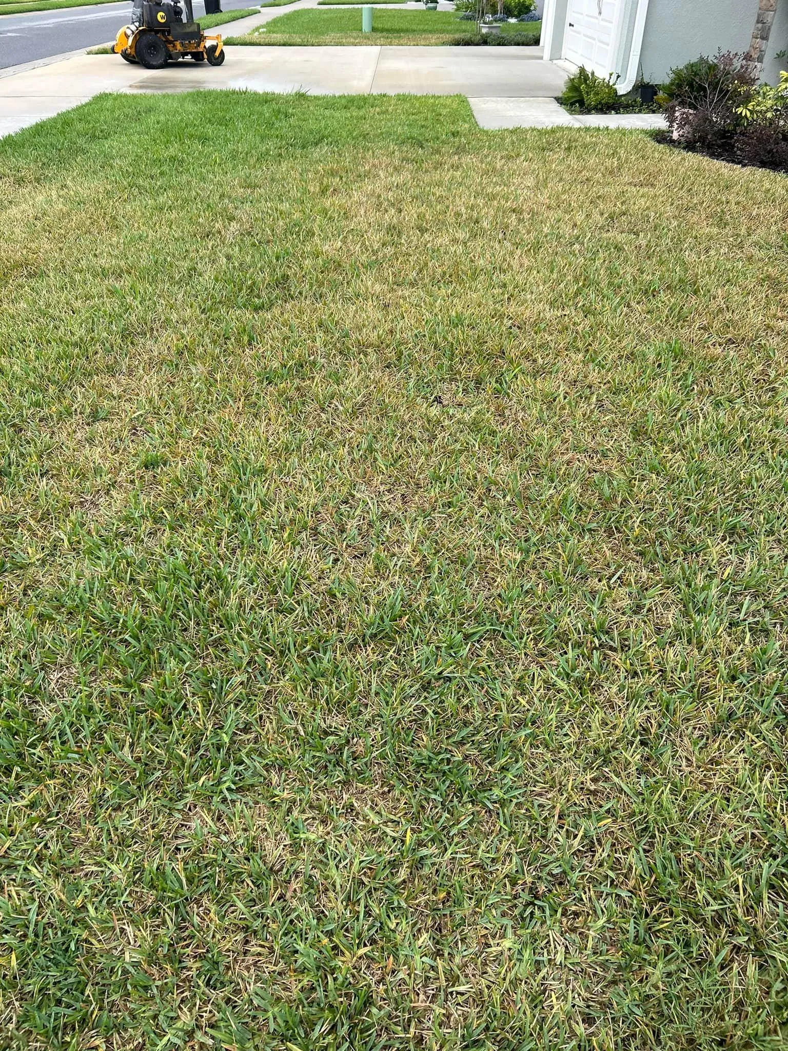 Fall and Spring Clean Up for Estrada All Pro Lawn Service in Auburndale, Florida