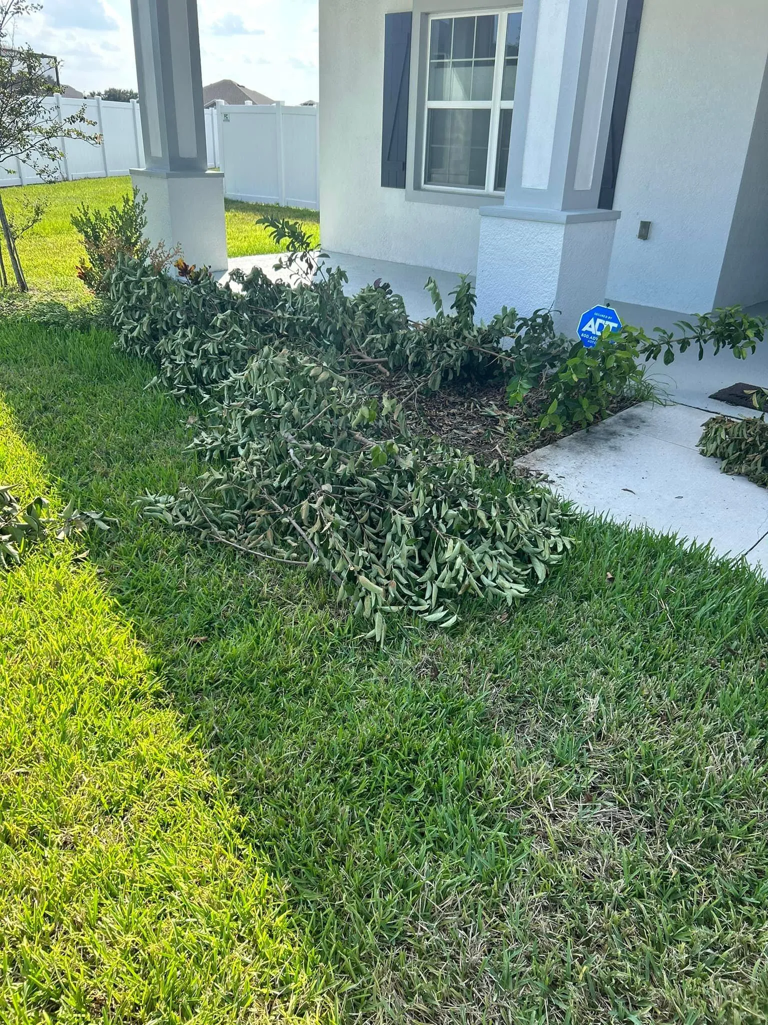 Fall and Spring Clean Up for Estrada All Pro Lawn Service in Auburndale, Florida