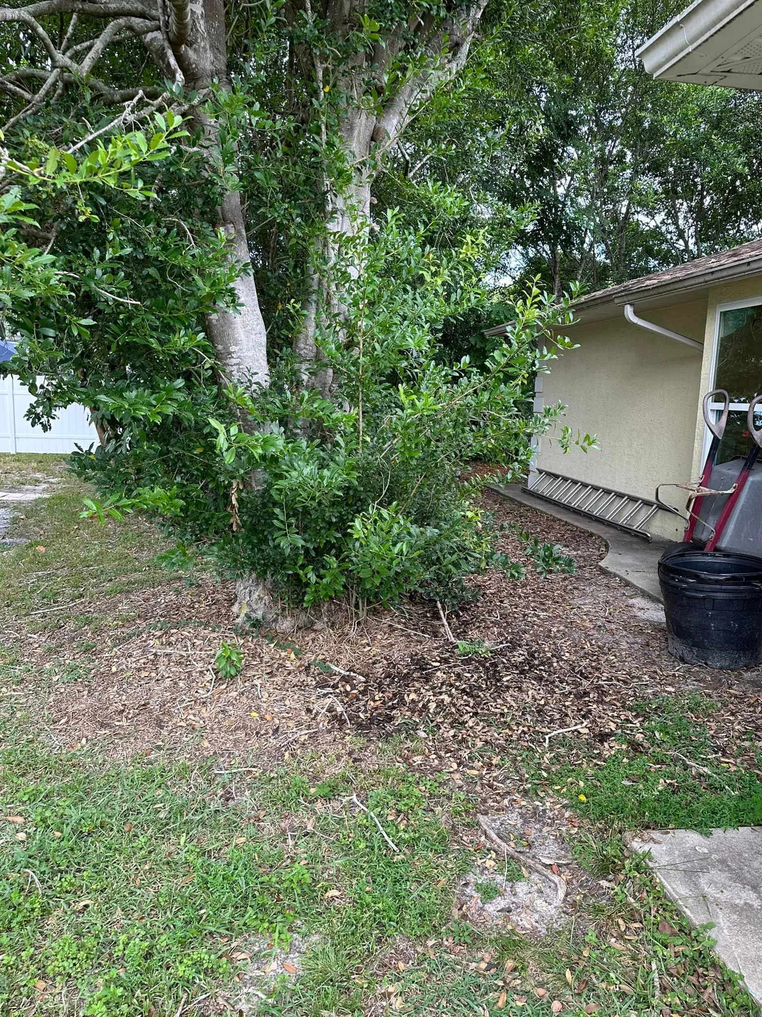 Fall and Spring Clean Up for Kramer & Son’s Property Maintenance in Hudson, FL