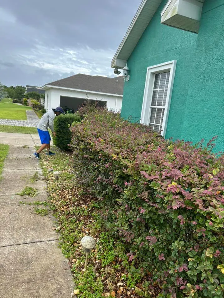 Fall and Spring Clean Up for Estrada All Pro Lawn Service in Auburndale, Florida