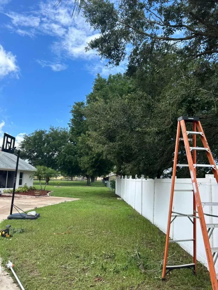 Fall and Spring Clean Up for Estrada All Pro Lawn Service in Auburndale, Florida