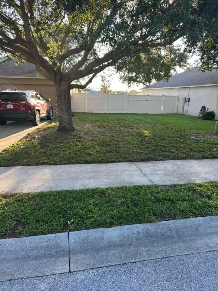 Fall and Spring Clean Up for Estrada All Pro Lawn Service in Auburndale, Florida