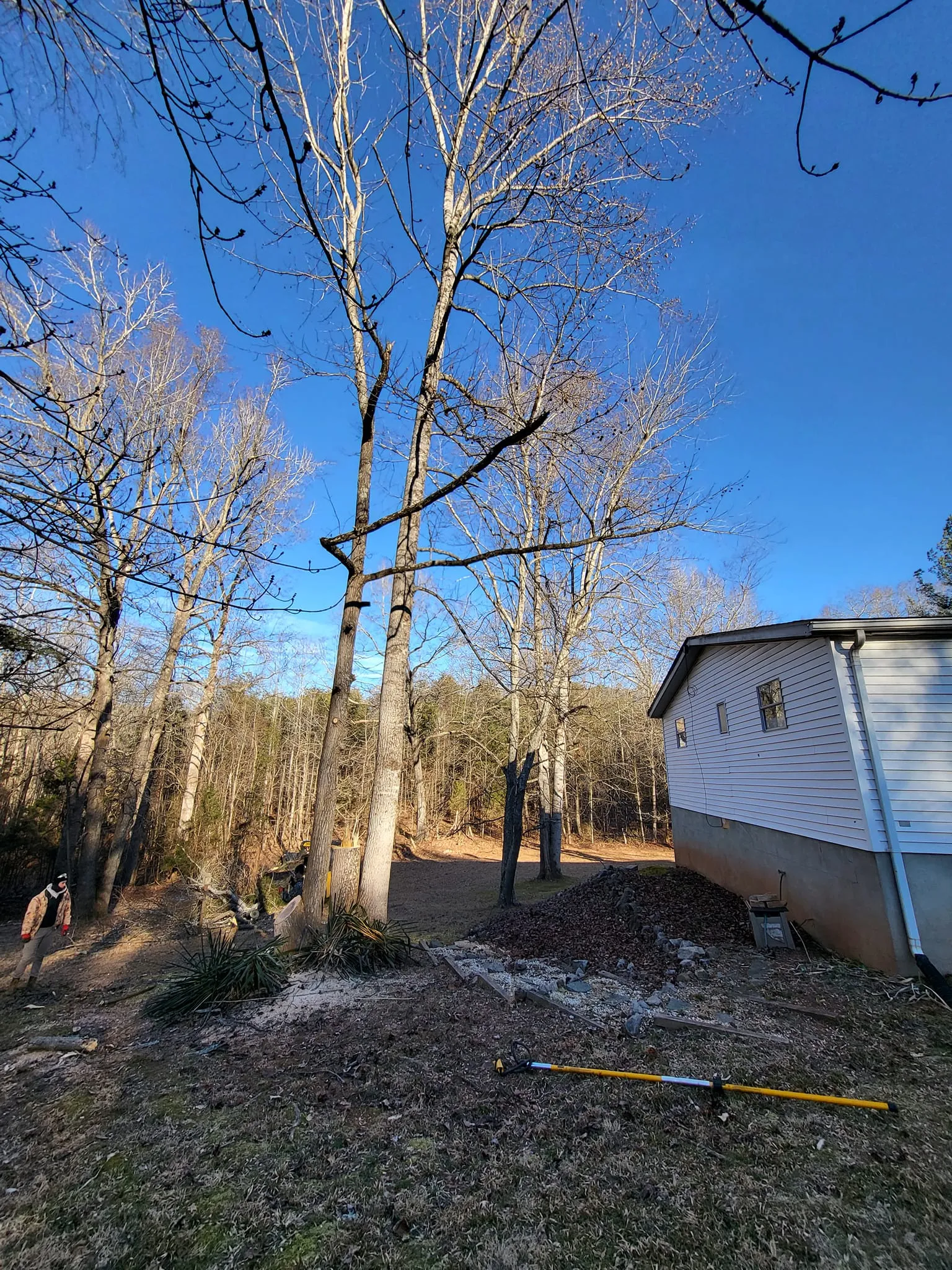 Tree Trimming for Smitty's Tree Service in Ringgold, VA