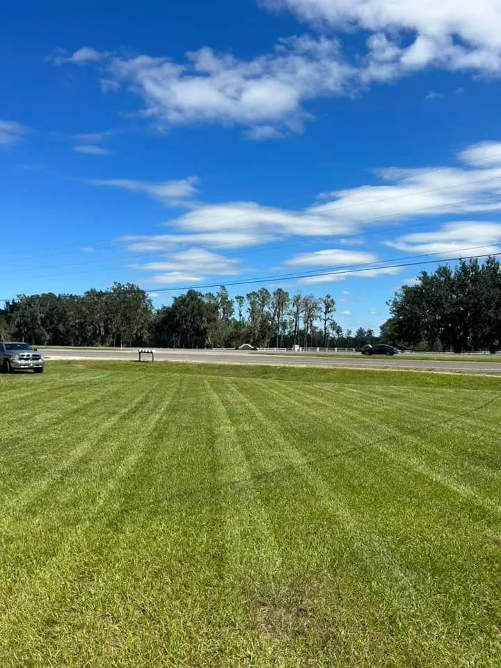 Fall and Spring Clean Up for Estrada All Pro Lawn Service in Auburndale, Florida