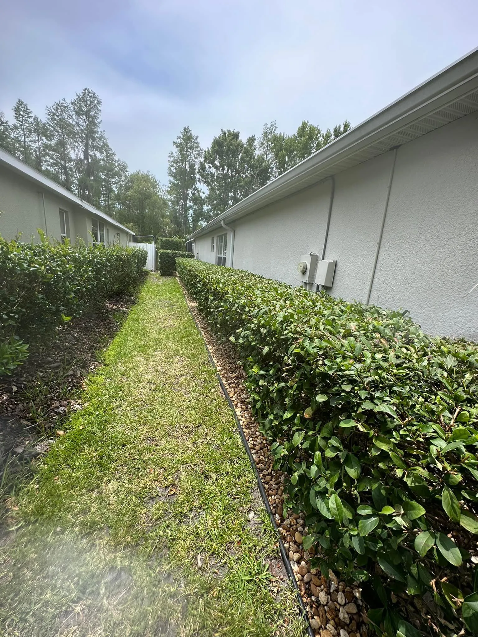 Fall and Spring Clean Up for Kramer & Son’s Property Maintenance in Hudson, FL