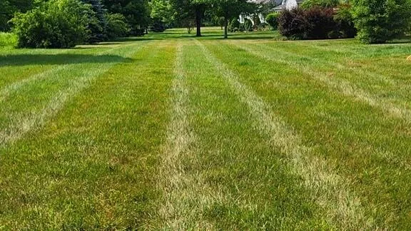 Residential Snow Plowing for B&L Management LLC in East Windsor, CT