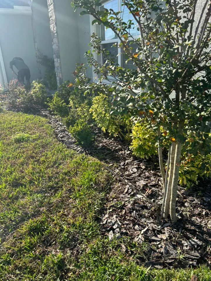 Fall and Spring Clean Up for Estrada All Pro Lawn Service in Auburndale, Florida