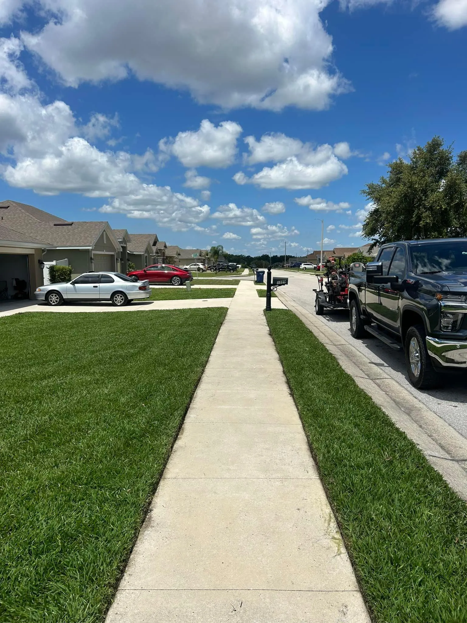 Fall and Spring Clean Up for Estrada All Pro Lawn Service in Auburndale, Florida