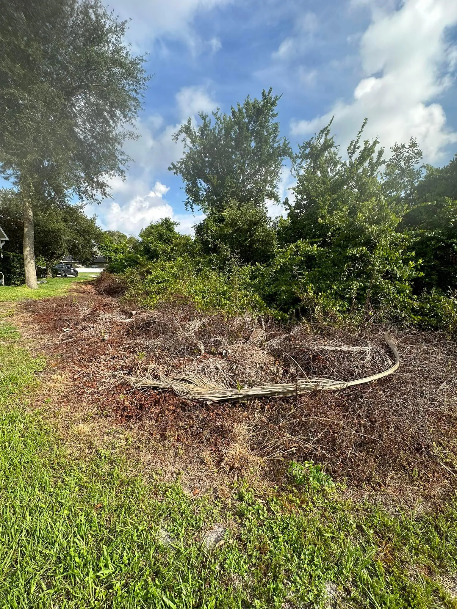 Fall and Spring Clean Up for Kramer & Son’s Property Maintenance in Hudson, FL