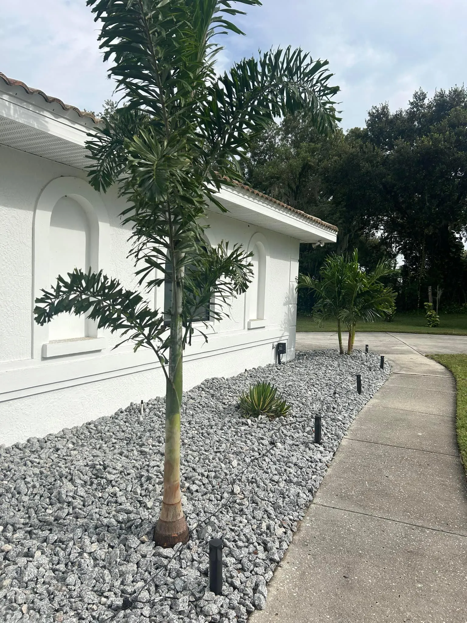 Fall and Spring Clean Up for Estrada All Pro Lawn Service in Auburndale, Florida