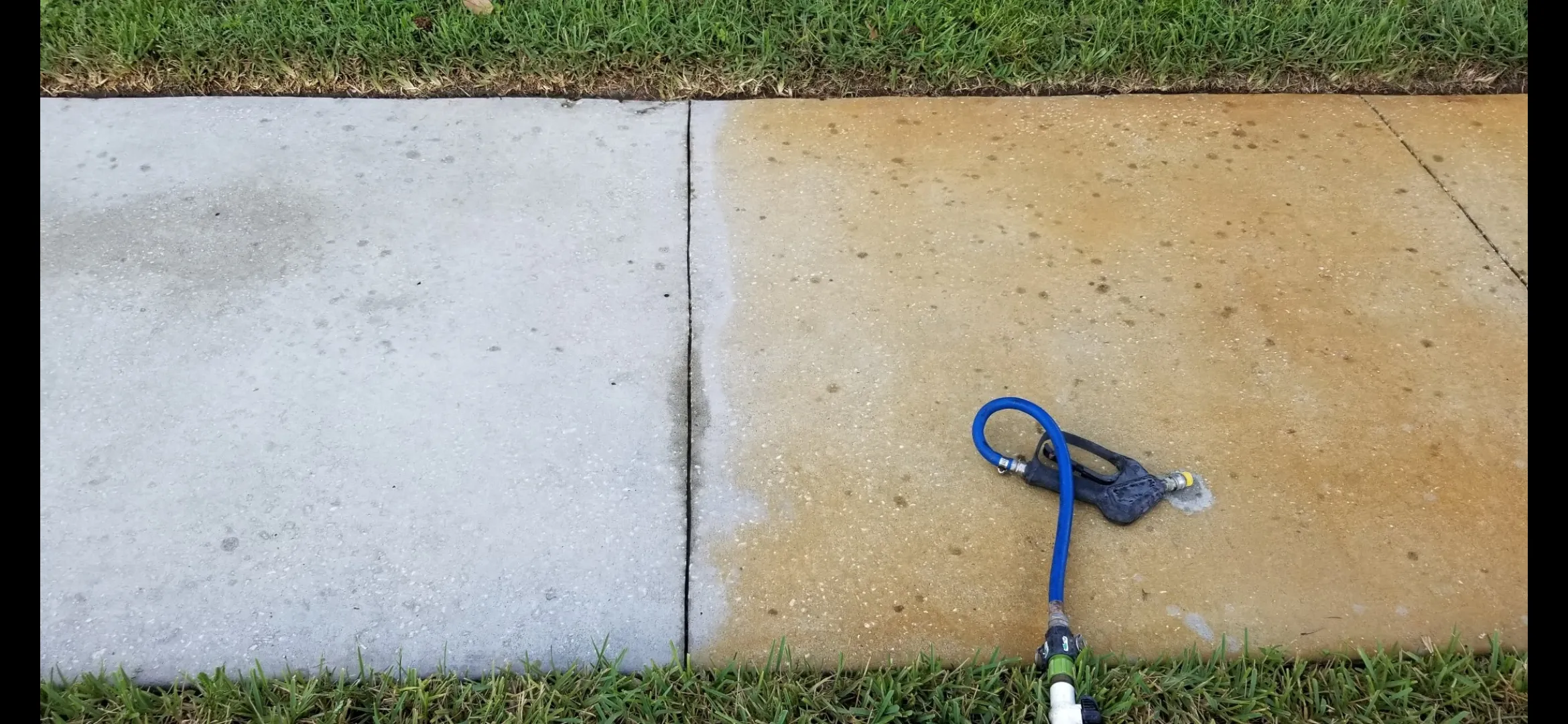 Roof Cleaning for BLUE STREAM ROOF CLEANING & PRESSURE WASHING  in Tampa, FL