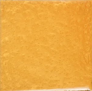 Bright Gold at Floorworx in Westchester County, NY