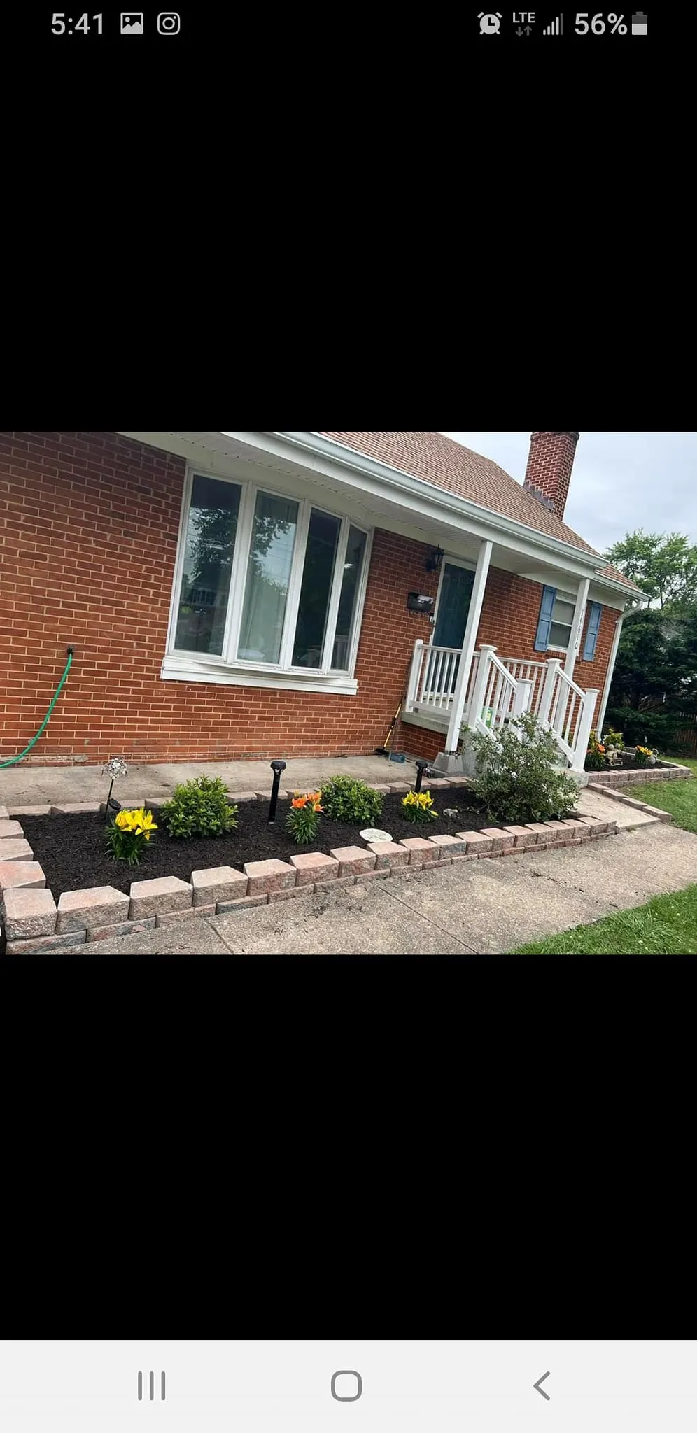 Tree Removal for Mario's Tree Service in Richmond, VA