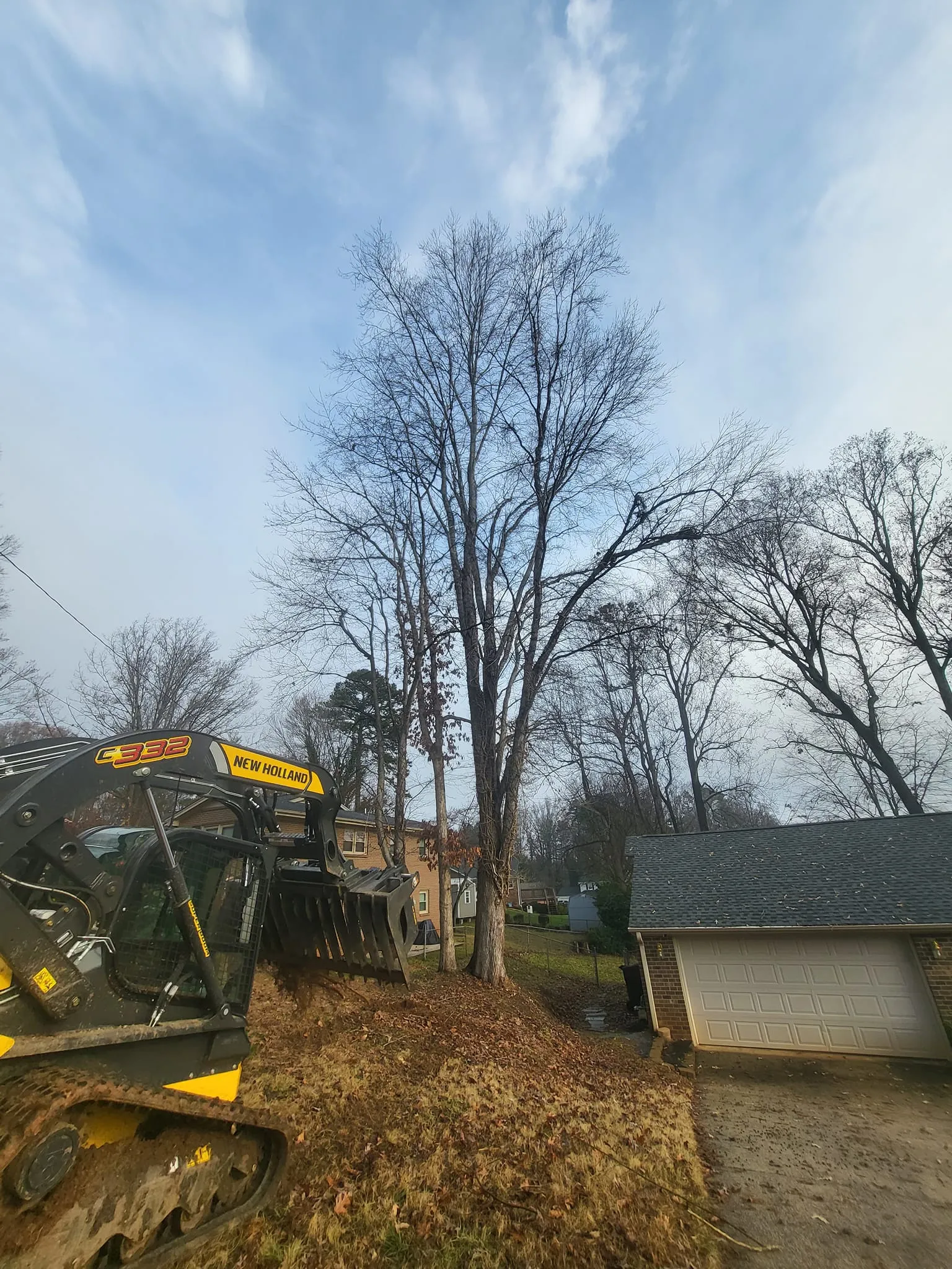 Tree Trimming for Smitty's Tree Service in Danville, VA